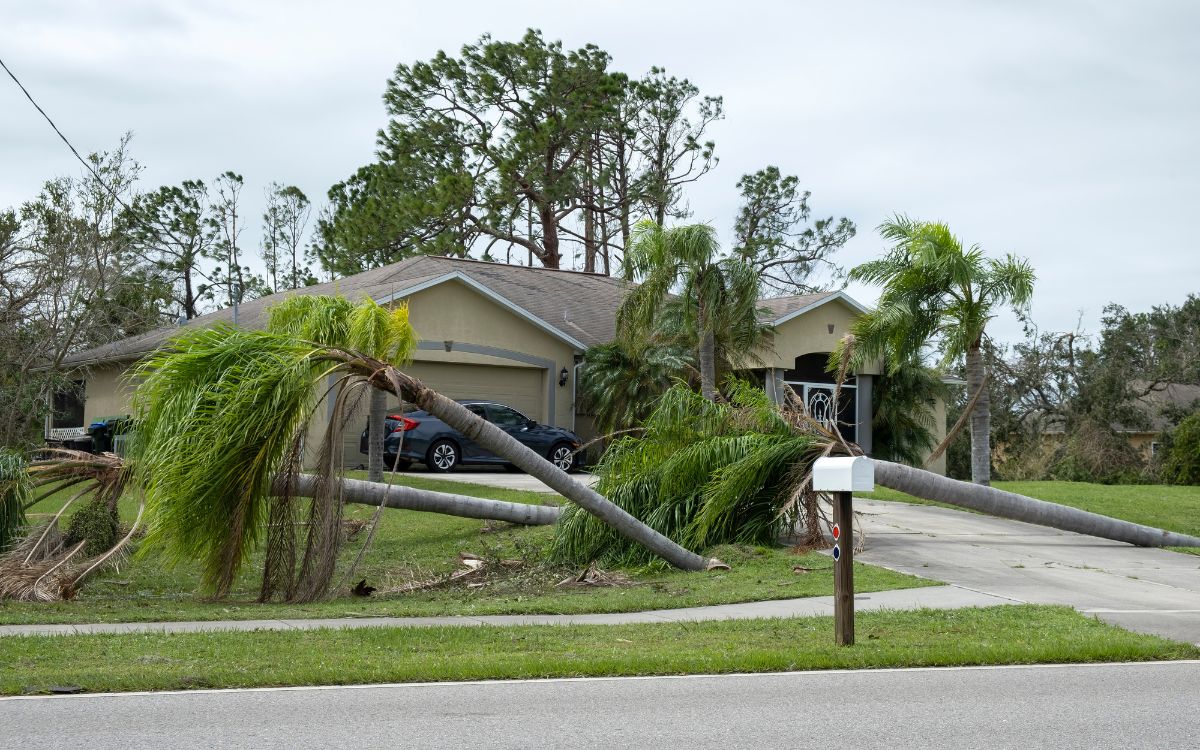 Emergency Tree Service: Fast Response When Storms Strike